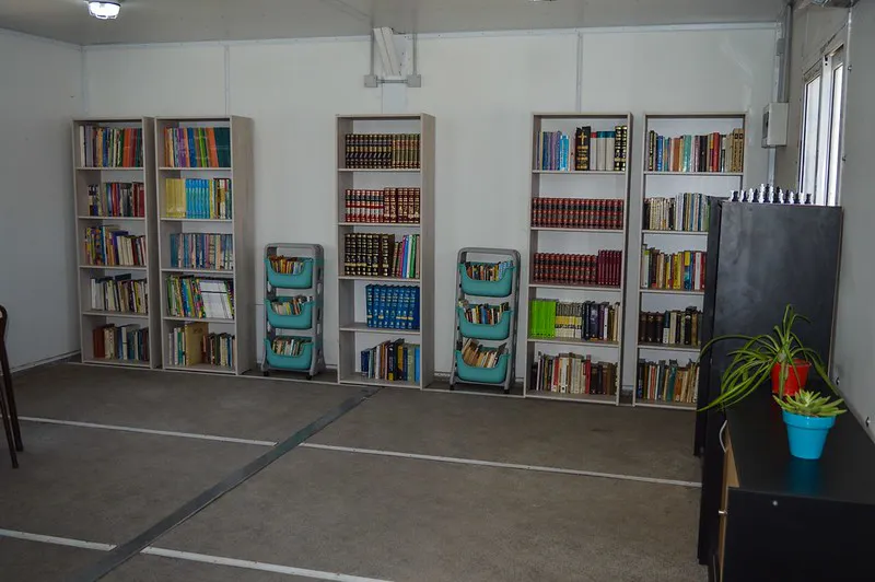 53362503405_12161c1bed_c