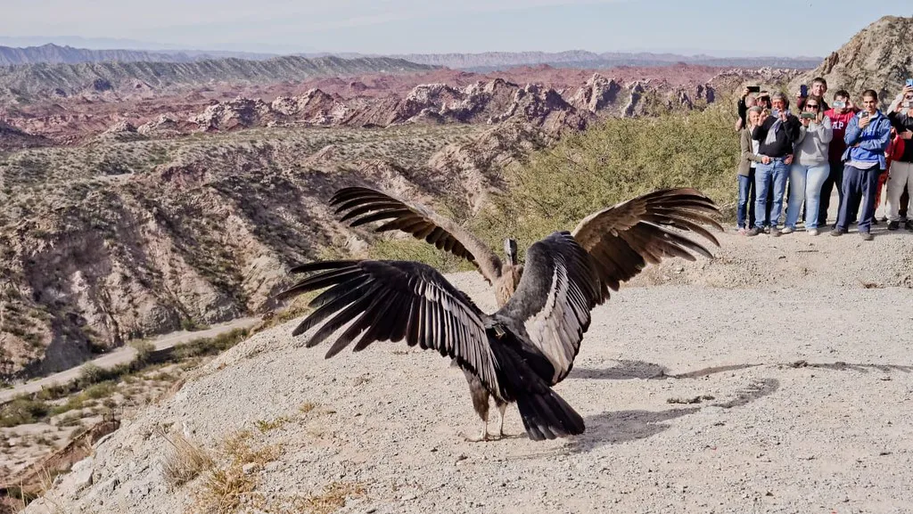 52922206953_668a49e2e8_b