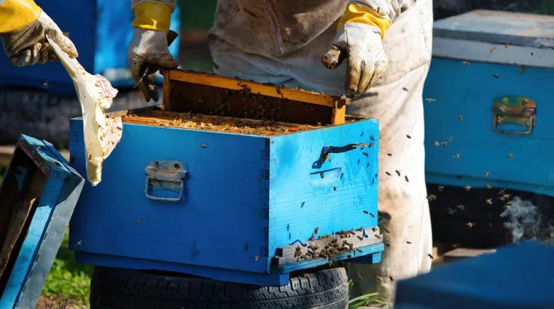 3a91489d839edf3fc448e912e31119ae_L