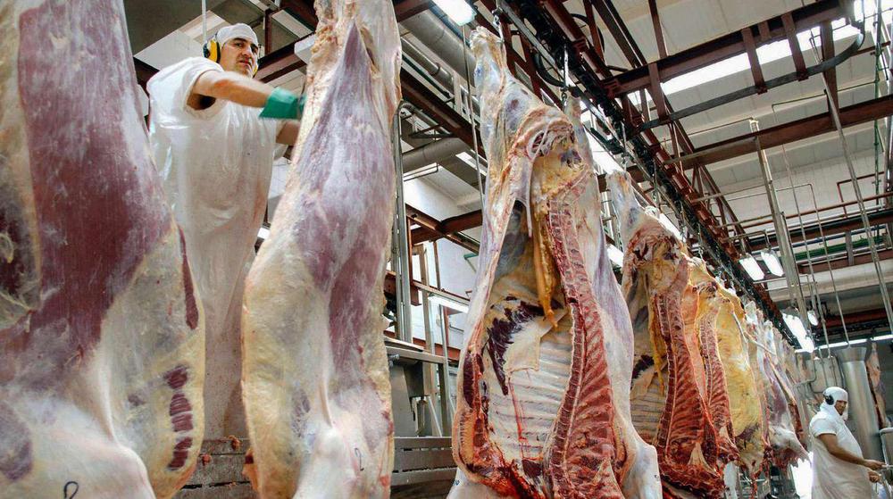 carnes
