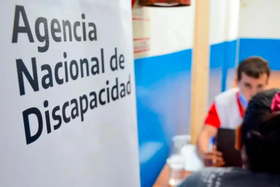 ANDIS DISCAPACIDAD