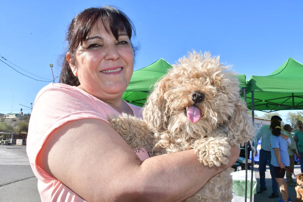 animales de compañia --