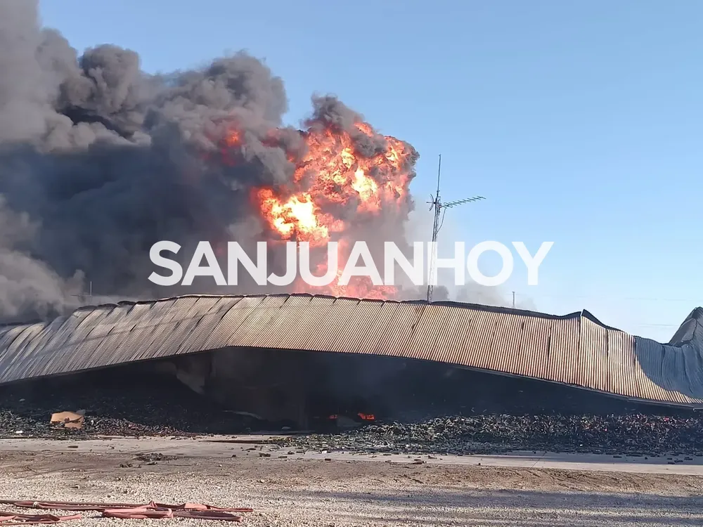 WhatsApp Image 2023-12-16 at 20.59.00