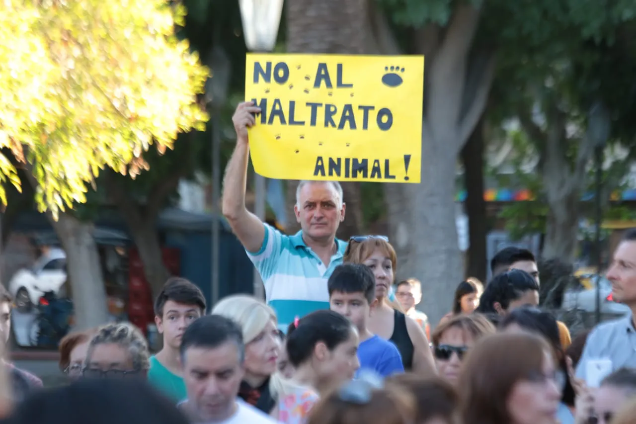 marcha maltrato animal