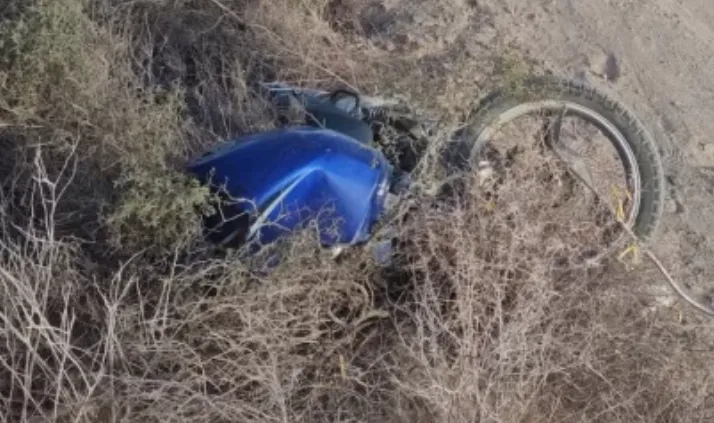 Captura de pantalla 2024-07-11 183200