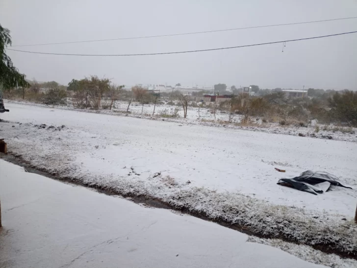nieve en sarmiento 1