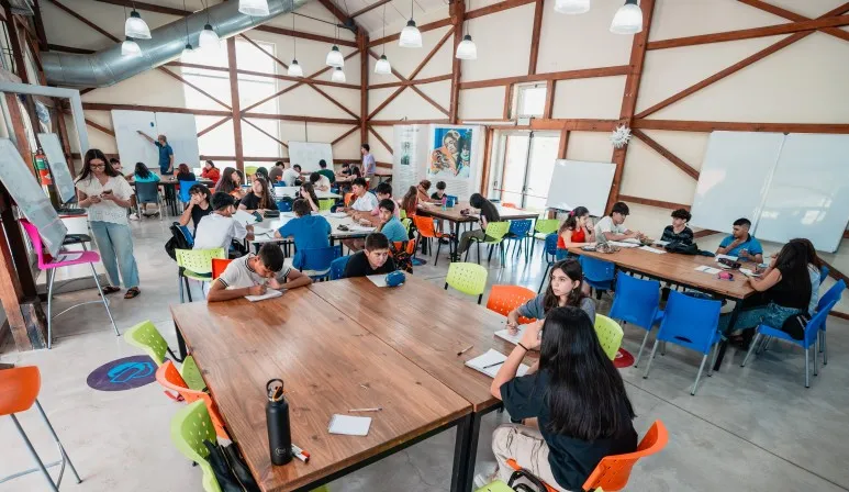 clases de apoyo comprendo y aprendo