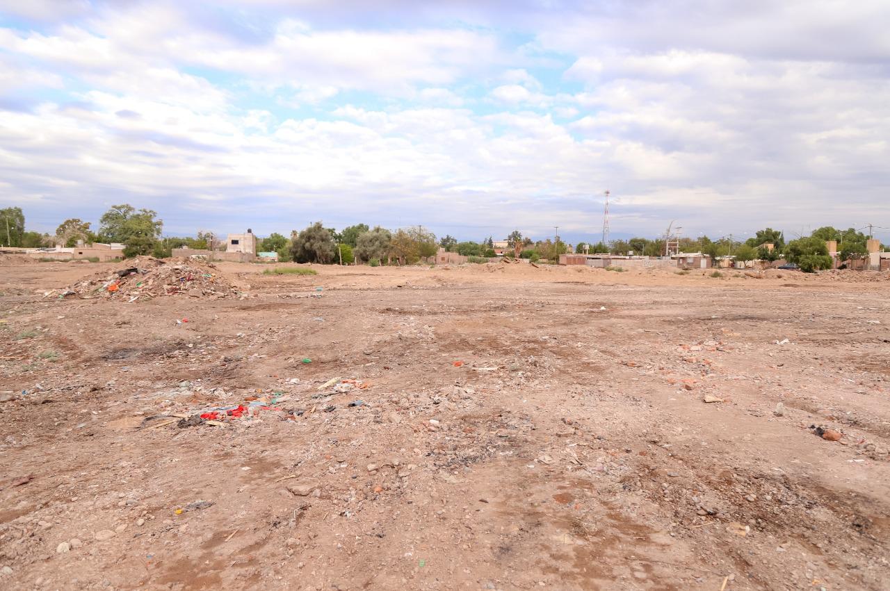 capital limpieza terrenos