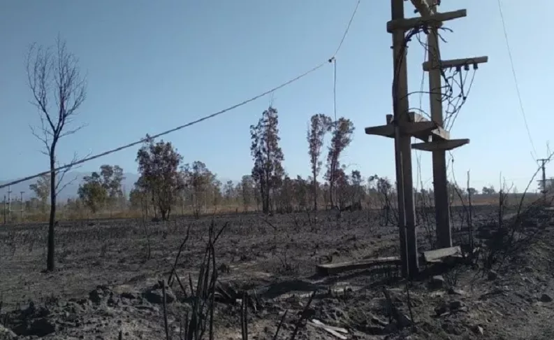 tendido electrico zonda incendio frente parque sarmiento