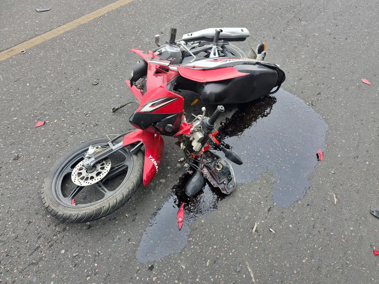 WhatsApp Image 2025-04-04 at 8.02.04 PM