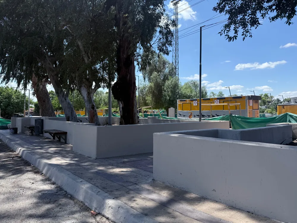 WhatsApp Image 2026-01-08 at 10.26.46 AM (1)