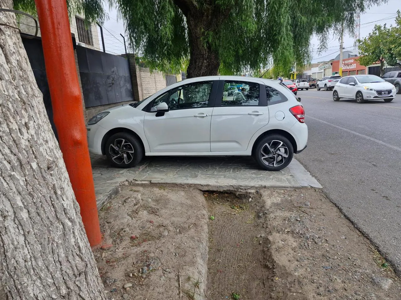 WhatsApp Image 2025-04-04 at 8.02.04 PM (1)