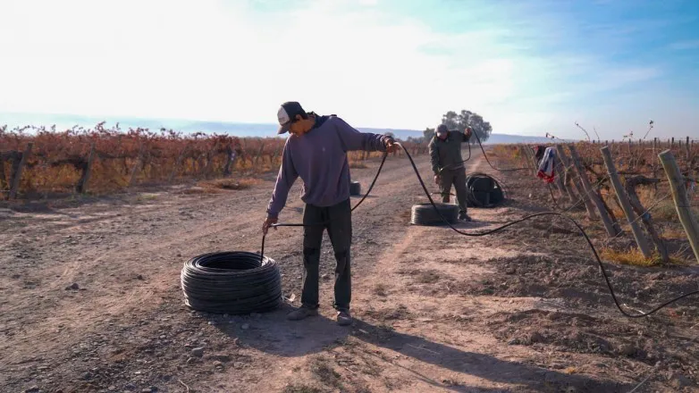 d3bcf989695a1a39489cf47d834c1fb5_L