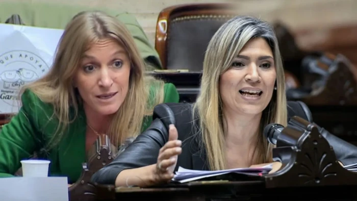 diputadas diputado cruce k lla