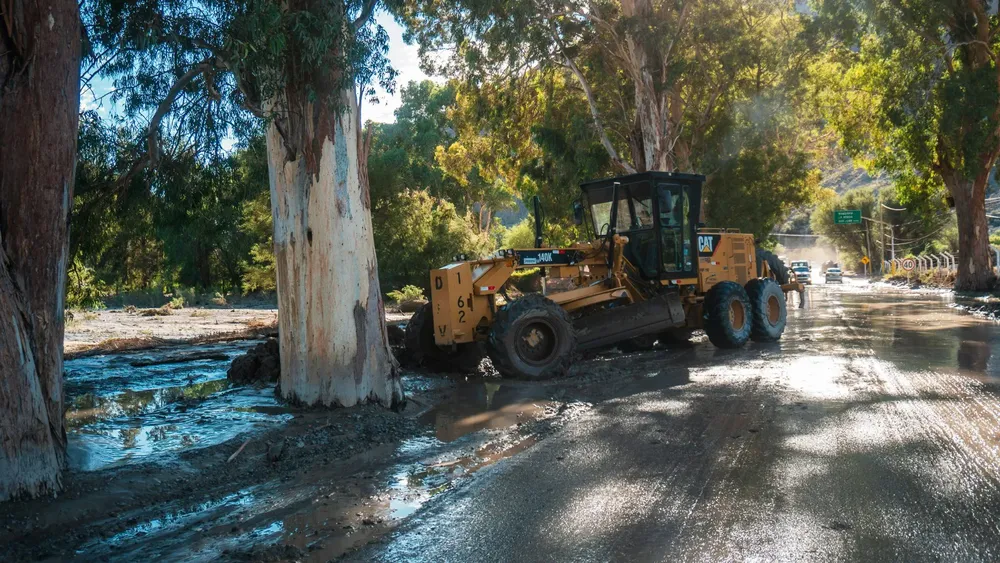 WhatsApp Image 2026-01-28 at 11.14.01 AM