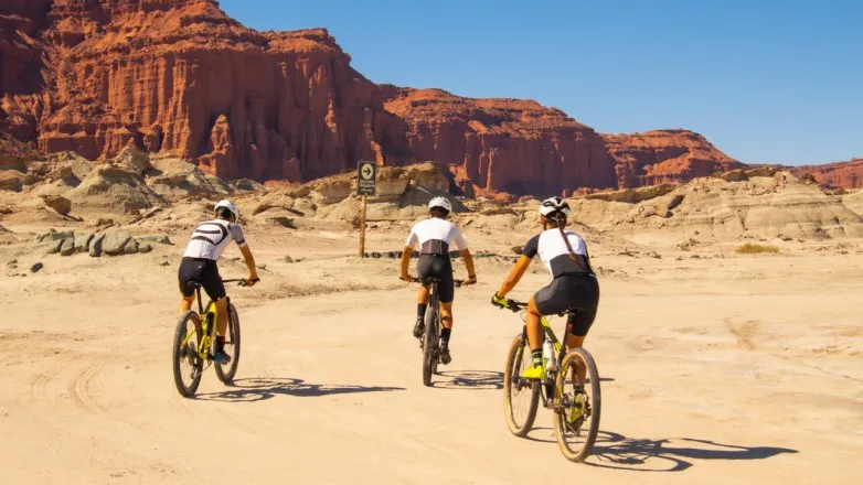 89e2c4ba6fbbb3e2215806359f670e72_L