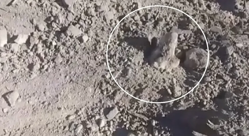 Captura de pantalla 2025-04-04 191729