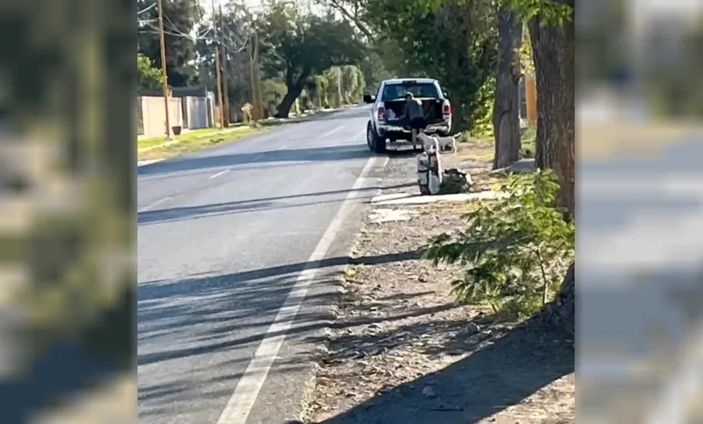 joven tira perros camioneta ram escrache