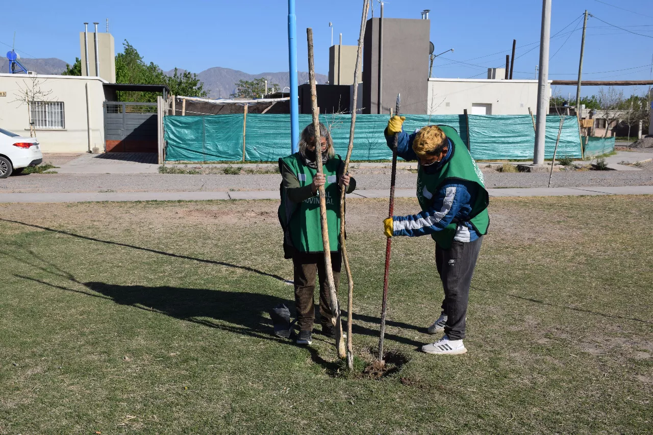 arboles plan forestal empleados pocito